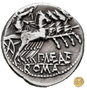 249/1 - denario P. Maenius Antiaticus M.f. 132 BC (Roma)